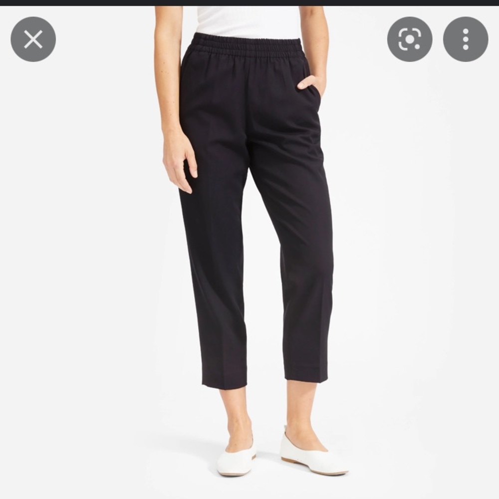 Everlane Merino wool trousers